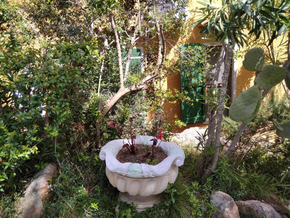 B&B Villa Sa Pischina Olbia Bagian luar foto